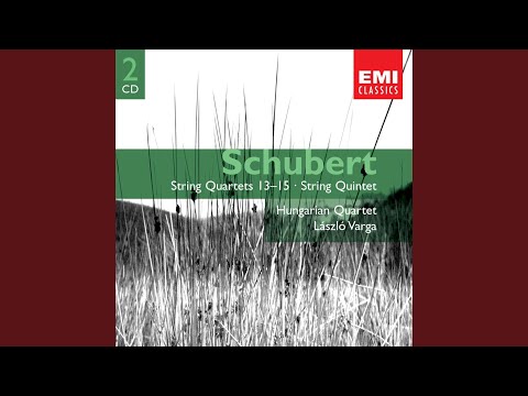 String Quartet No. 15 in G Major, Op. Posth. 161, D. 887: I. Allegro molto moderato