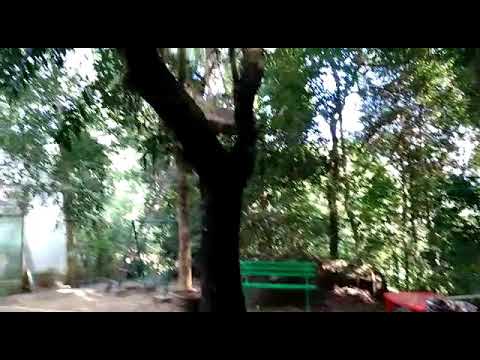 Deming Green New Buildings Ratings