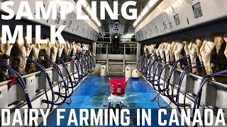 Download lagu Its Test Day! Milk Sampling mp3 Download lagu Its Test Day! Milk Sampling mp3