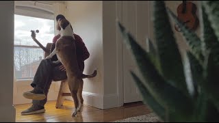 I Must Be In a Good Place Now. Bobby Charles