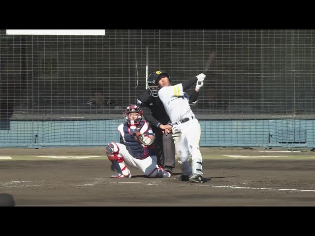 【MBG】ホークス・井上朋也 レフト方向に高弾道の同点ホームランを放つ!!  2025年2月26日 福岡ソフトバンクホークス 対 ロッテ・ジャイアンツ
