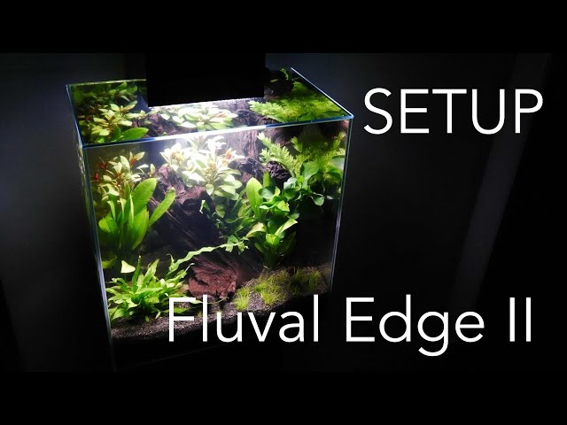 Aquascaping Aquarium Setup - Fluval Edge II