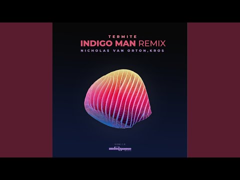 Termite (Indigo Man Remix)