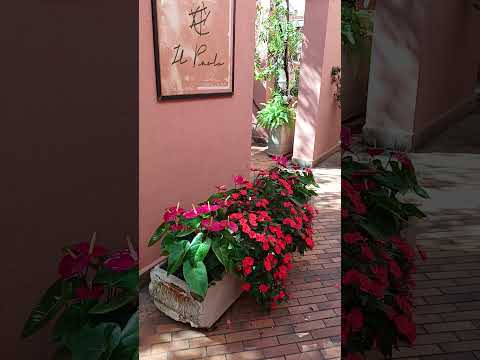 Pocos de Caldas, Palace Hotel #viagem #minasgerais #hotel