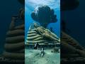 Mahabalipuram S Sunken Temples Reimagined 6 Lost 1 Survives Vishnu Narayan Underwater