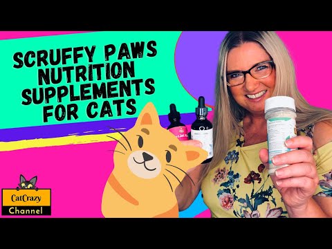 How to help your cat live a long healthy life - 😻 CatCrazy