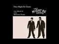 They Might Be Giants - 1996-03-31 - Reprehensible