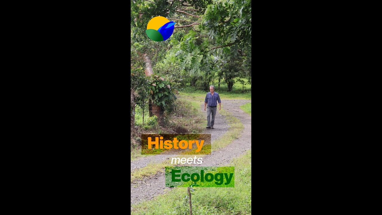 History meets Ecology