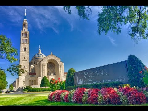 2017 Votive Mass of the Holy Spirit