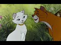 The Aristocats Thomas O Malley Cat Eu Portuguese