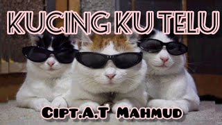 Download lagu Lagu Anak Terpopuler | Kucingku telu Kabeh lemu lemu ( lirik) | Kucing meong meong mp3 Download lagu Lagu Anak Terpopuler | Kucingku telu Kabeh lemu lemu ( lirik) | Kucing meong meong mp3