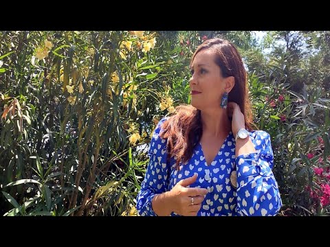 Vitrina e librit/ Dy tituj që mbartin një emocion të papërshkruar: Thika pa gjak