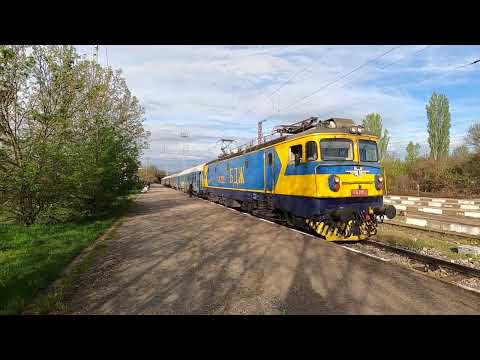 Loco 46 205 at Zaharna Fabrika