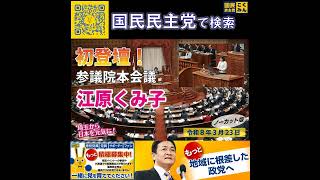 国民民主党 江原くみ子 本会議  5月30日