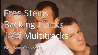 She Drives Me Crazy - Fine Young Cannibals | Multitrack Stems & Backing Tracks (2026)