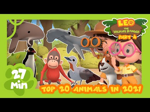 Top 20 Most Popular Animals from Season Two in 2021! Part 4! | Leo the Wildlife Ranger