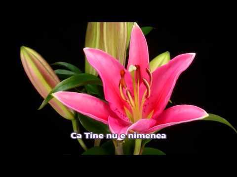 Esti necuprins (cu versuri)