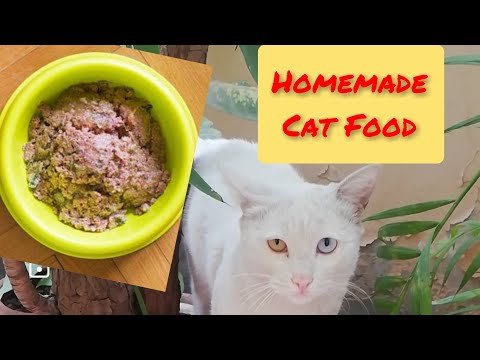 How to make cat food at home|Homemade cat food|