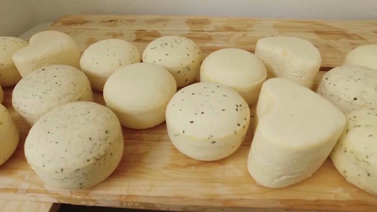 CAPITULO 2  COOPERATICA COLEGA   VEREDA MONQUENTIVA  GUATAVITA   CUNDINAMARCA