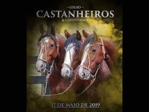 Leilão Castanheiros & Convidados