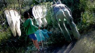 Download lagu サンマkidsショット mp3