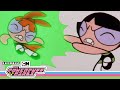 WHO S THE BOSS Powerpuff Girls Cartoon Network
