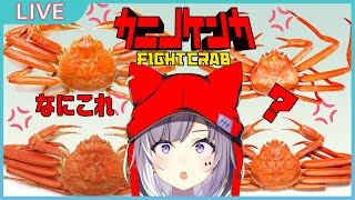 【カニノケンカ】なにこれ？(再再)