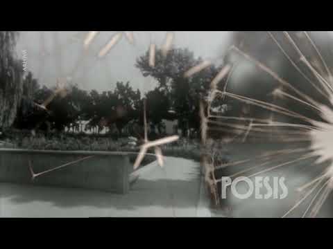 Poesis: Mircea Neacşa – Ce frumoasă eşti de Adrian Păunescu (@Arhiva TVR)