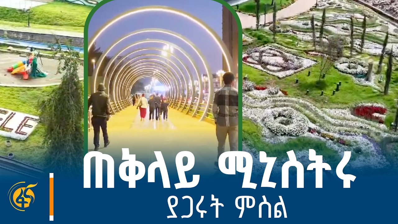 የአዲስ አበባ የወንዞች ዳርቻ ልማት፤ የወንዝ ዳርቻዎችን ከማስዋብ ያለፈ ፋይዳን የያ?