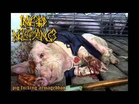 Inverted Necromancer - Pig Fucking Armageddon