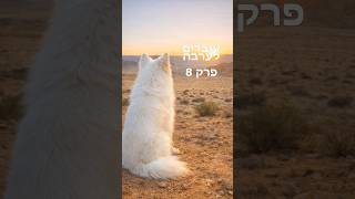 עוברים לערבה - פרק 8 #ערבה #כלבים #התחלותחדשות