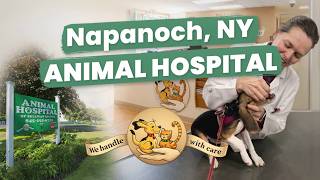 Animal Hospital Napanoch, NY