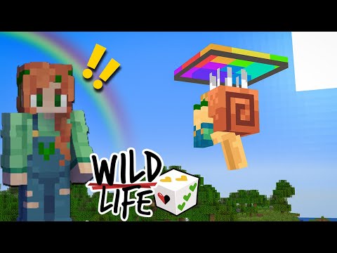 The Sweats - Wild Life Episode 3