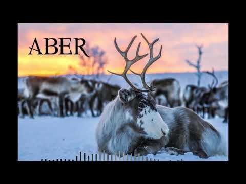 [FREE] BEAT W HOOK "WAKE UP"