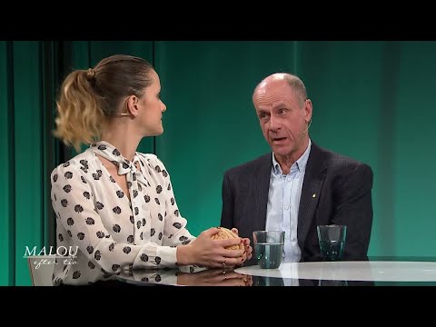 Så påverkar livsstilen risken att utveckla Alzheimers sjukdom - Malou Efter tio (TV4)