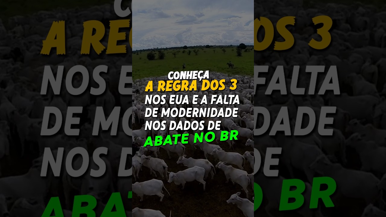 CONHEÇA A REGRA DOS 3 NOS EUA E A FALTA DE MODERNIDADE NOS DADOS DE ABATE NO BR