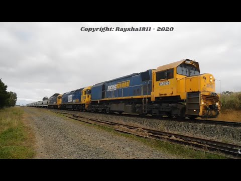 XR559-BL33-BL31 - Murgheboluc