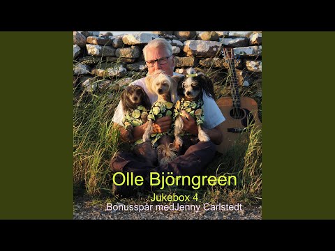 Vår egen bröllopsdag