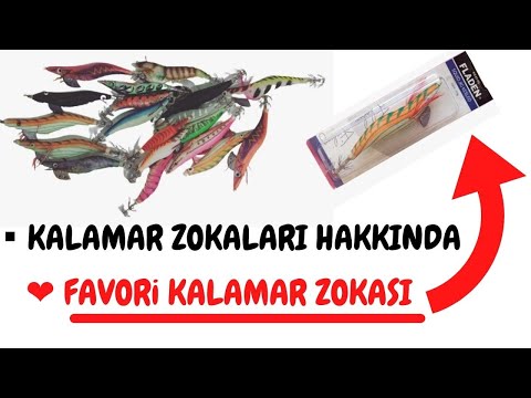 Kalamar zokaları tanıtımı ve FAVORİ kalamar zokası hangisi?