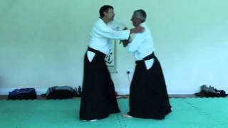 Aiki-Lab:  Addressing the 800 lb Gorilla in the corner of the Aikido dojo