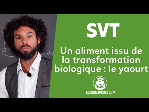 Un aliment issu de la transformation biologique : le yaourt
