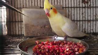 set up update ande k dher lag gaye😍🥰😘