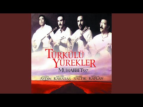 Suda Balık Yan Gider