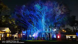 台中國漫館光影展-大樹榮光