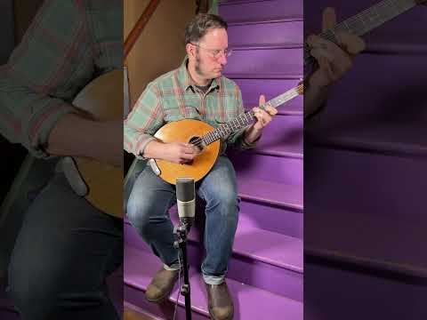 1984 Flatiron 3K Irish Bouzouki Koa (VIDEO! Fresh Work, Ready) image 23