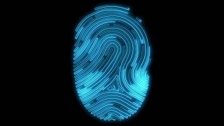 Digital Fingerprint Scan Animation