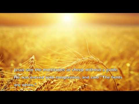 Heart For The Harvest - Gospel Song (Sheet Music Available)