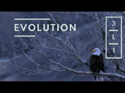 Eli Abhishek progressive...