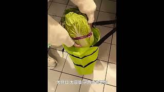 Skladacia nákupná taška na kolieskach