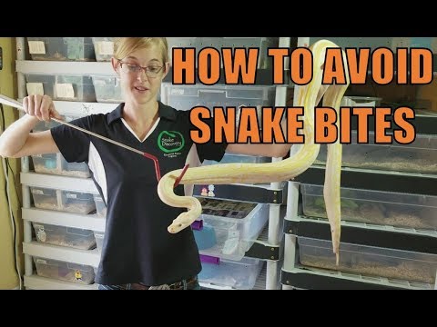 How to Avoid Snake Bites!